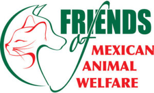 Logo: Friends of Mexican Animal Welfare, helping animals and the communities they live in