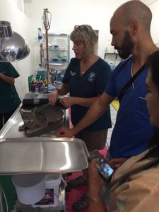 IVC veterinary training in sterilization procedures