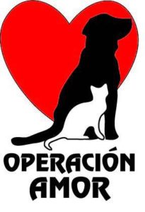 animal welfare, operacion amor