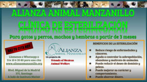Alianza Animal Manzanillo Sterilization Clinic
