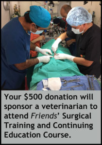 Donate to train veterinarians