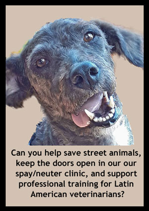 Donate to Friends to help animal welfare programs