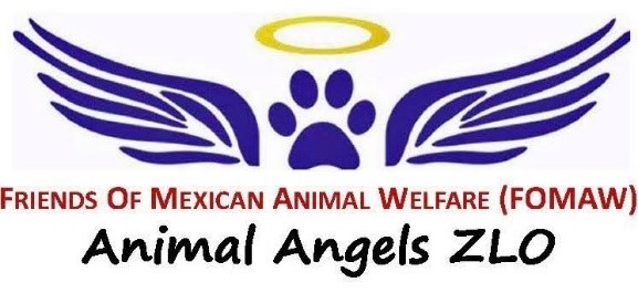 Friends of MX Animal Welfare